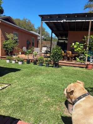 Terrein van de accommodatie