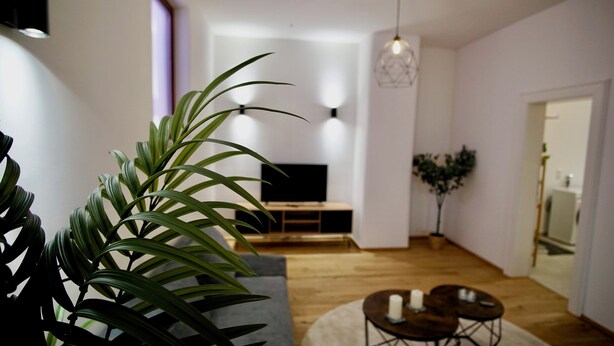 Ein modernes Wohnzimmer mit Holzboden, einem grauen Sofa, einem Fernseher und einer Pflanze.