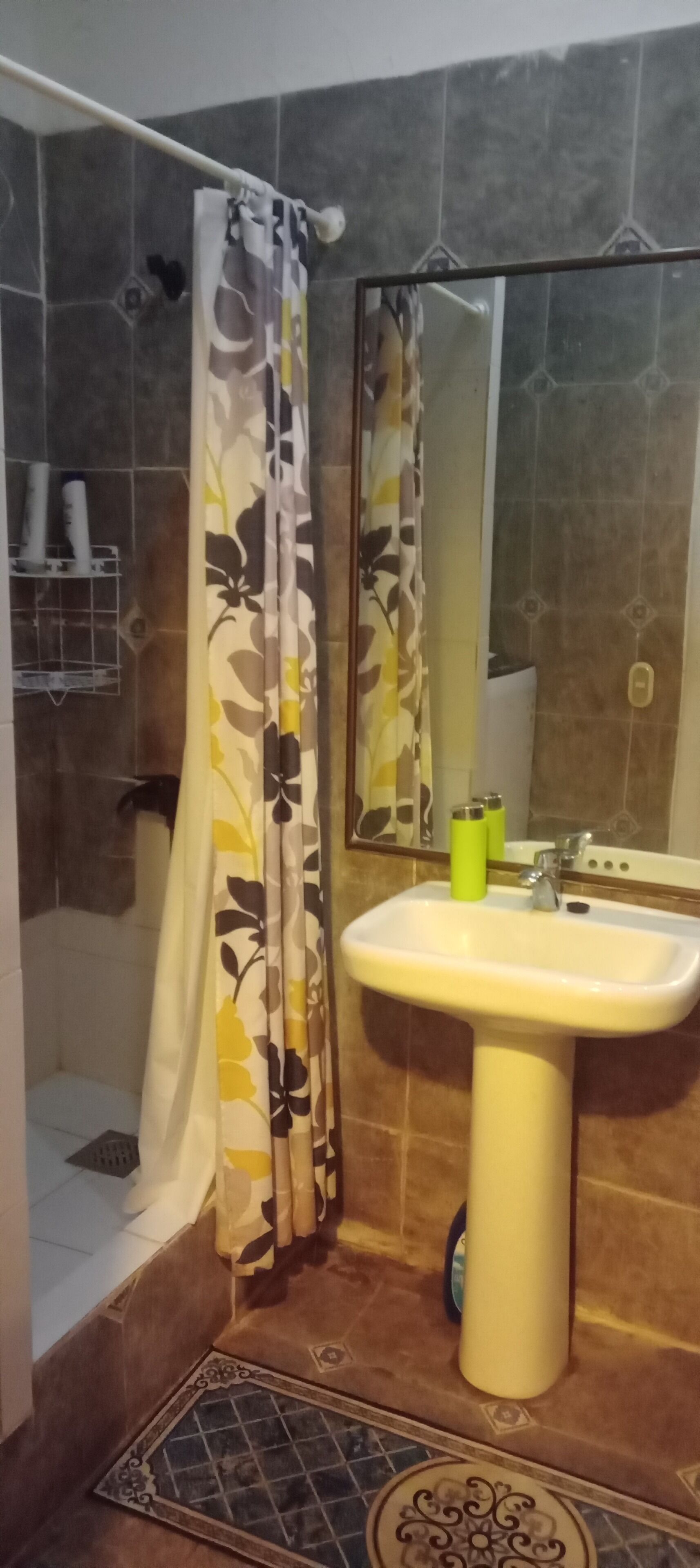 Chuveiro, sabonete, papel higiênico 