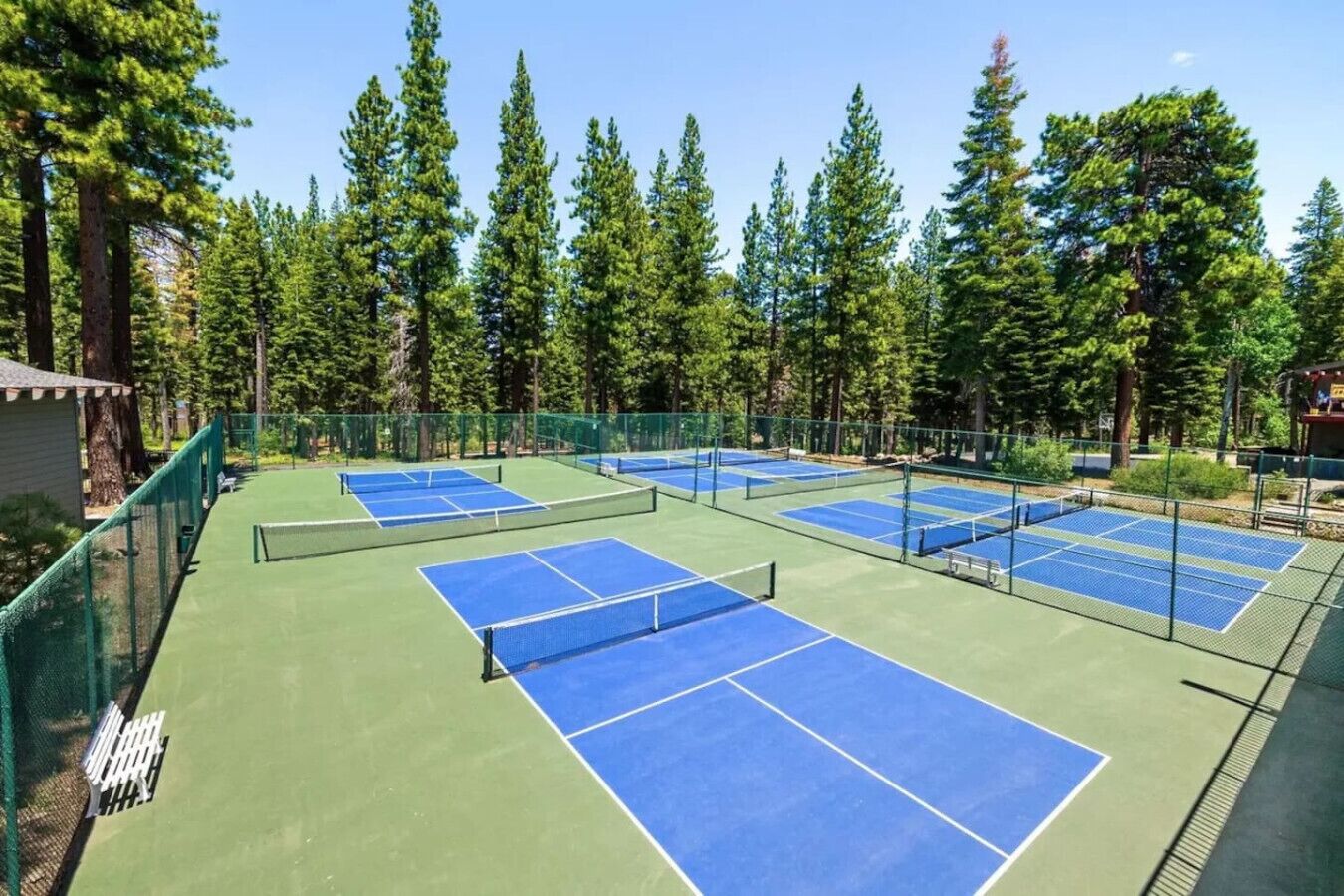 A tennis court complex with multiple courts, surrounded by tall trees.