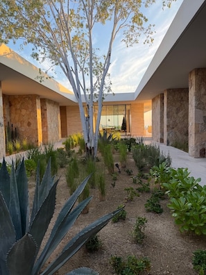 Property grounds - The perfect 5 bedroom retreat in the exclusive community of Querencia, Los Cabos (San José del Cabo)