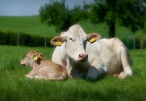 Appartement | Exterieur