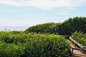 Property grounds - Seaport Sands Townhome l Private Beach Access (Cape Canaveral)
