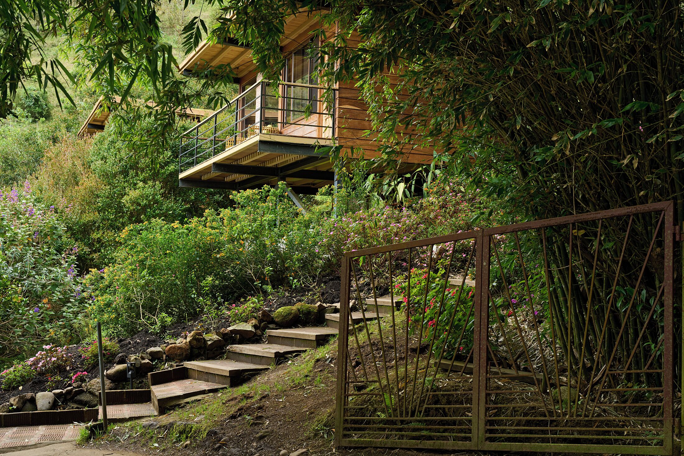 A wooden house with a balcony, surrounded by dense vegetation and a wooden fence.