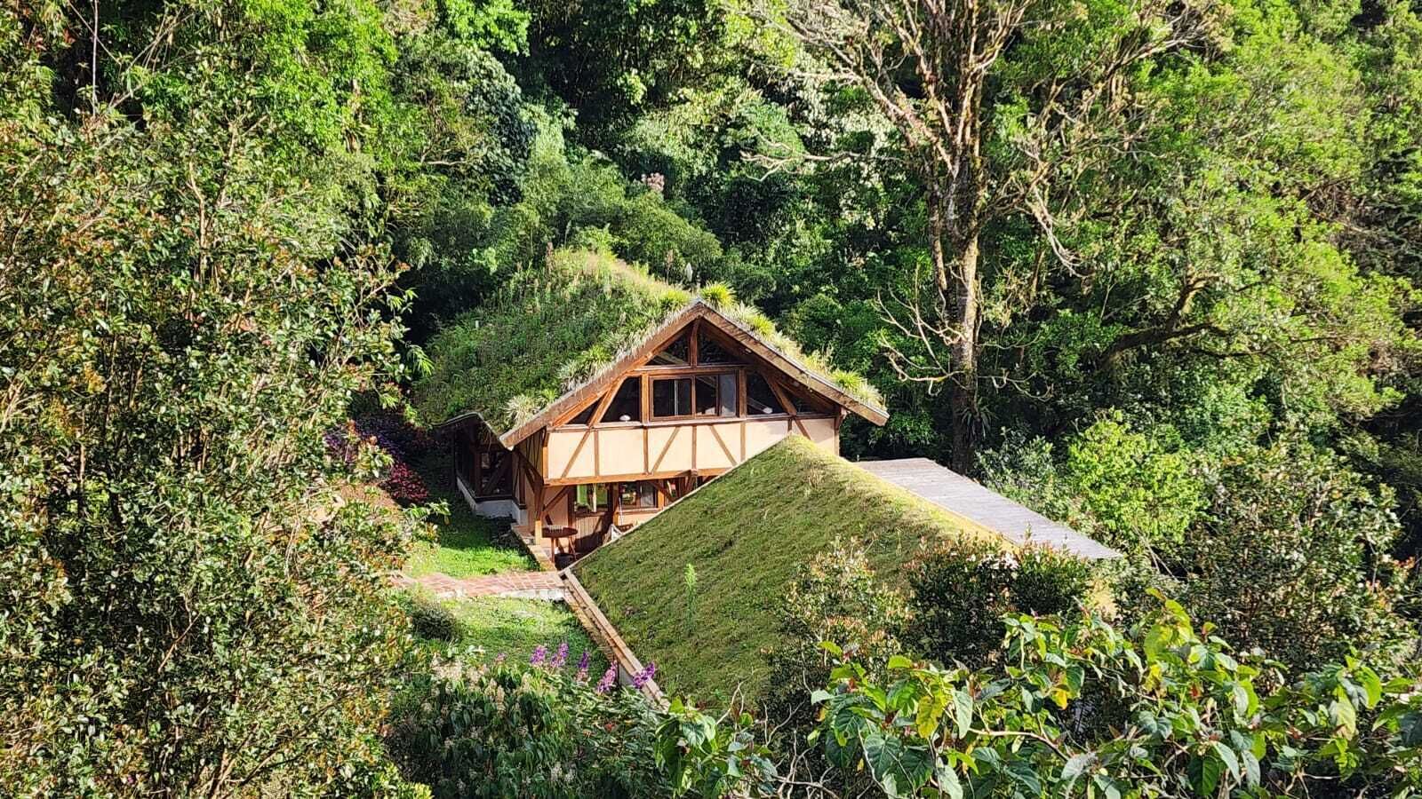 A house with a sloped roof surrounded by dense greenery.