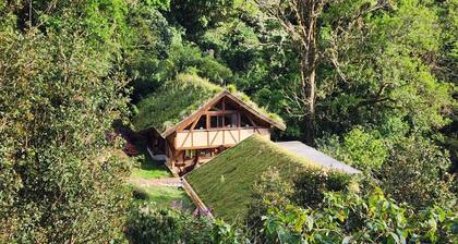 Wild on the Farm, Boquete Cloud Forest Lodge