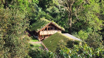 Wild on the Farm, Boquete Cloud Forest Lodge