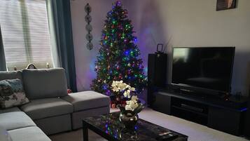 TV, fireplace, DVD player