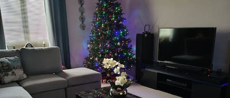 Televisio, takka, DVD-soitin