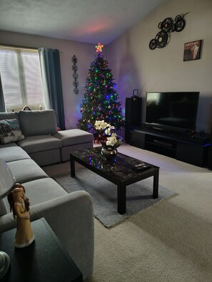 TV, fireplace, DVD player - #1 Choice For A Quiet & Relaxing StL Suburb Home Away From Home Vacation Rental. (Columbia)