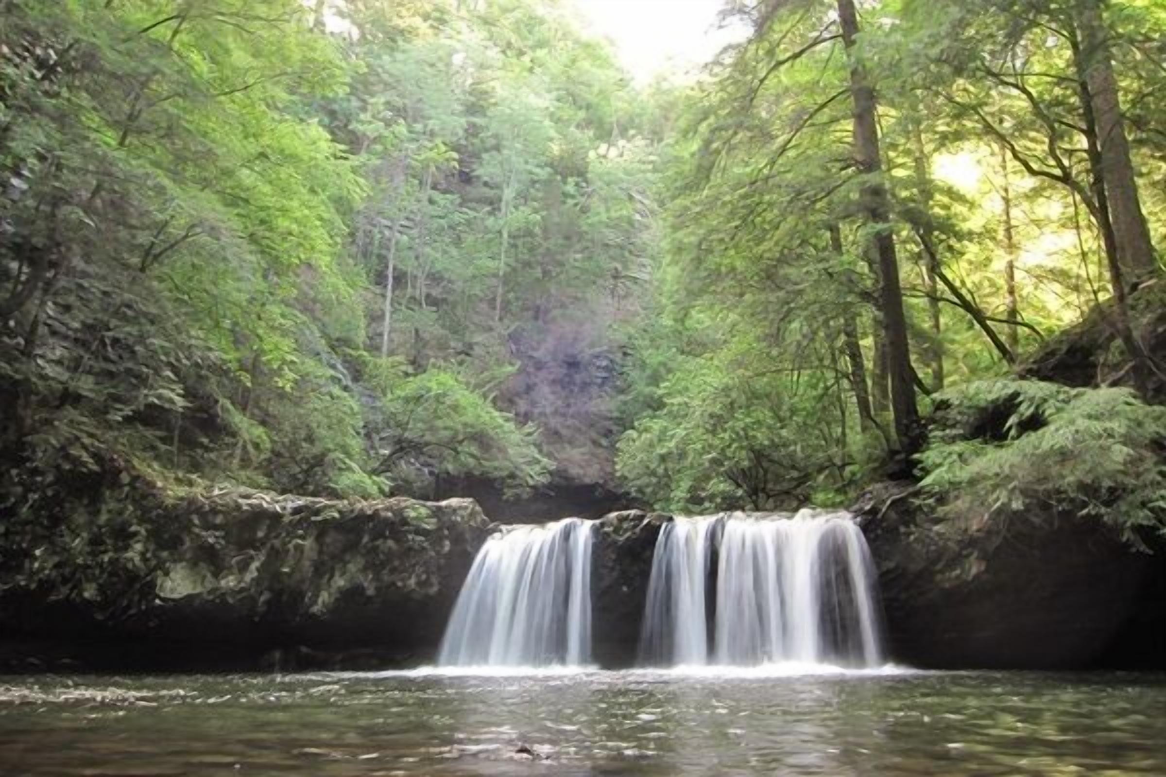 Une cascade dans une zone boisée.