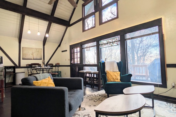 Smart TV, fireplace, books, stereo