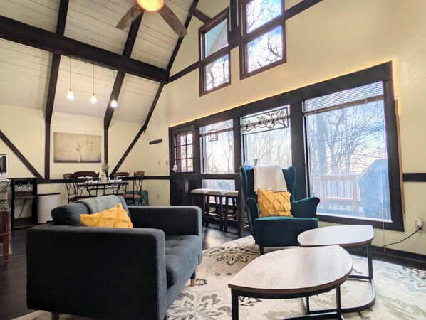 Smart TV, fireplace, books, stereo