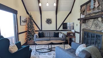 TV connectée, cheminée, livres, chaîne hi-fi