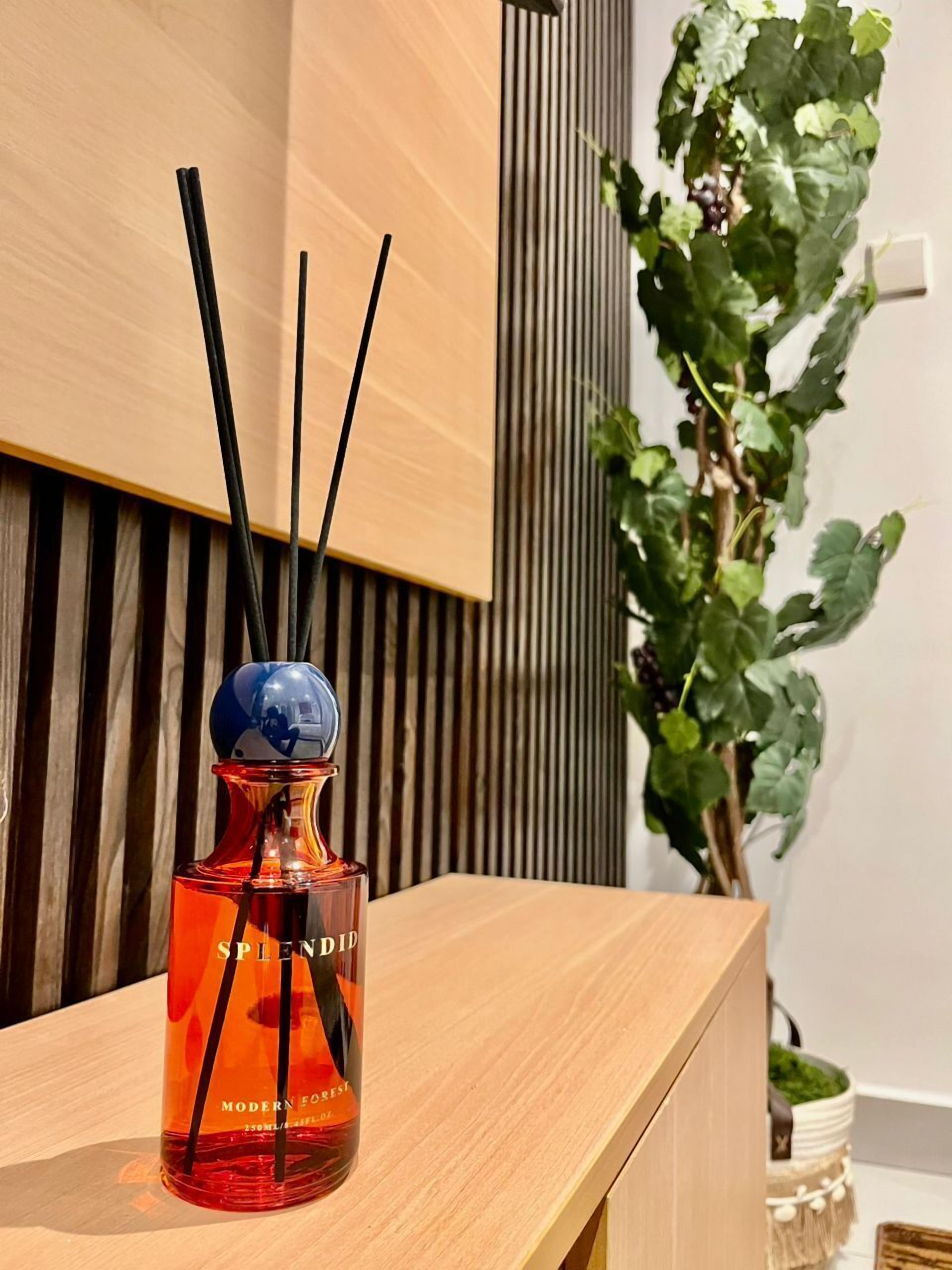 Una botella de Splendid Modern Fresh sobre una superficie de madera con palitos negros, una pared de listones de madera verticales y una planta verde al fondo.