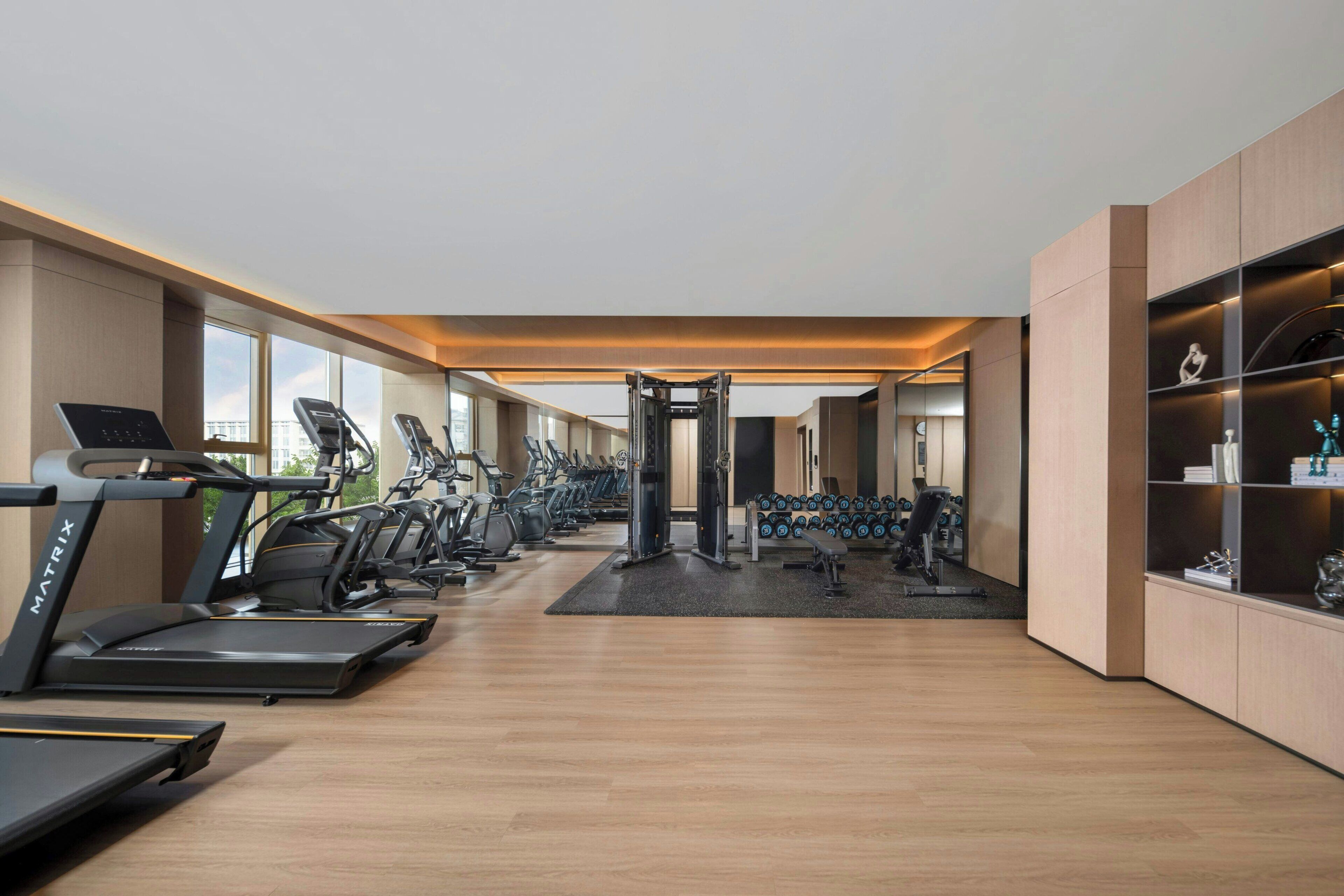 A modern gym with treadmills, elliptical machines, and weightlifting equipment.