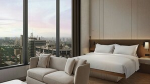 Studio, 1 giường cỡ king, quang cảnh thành phố