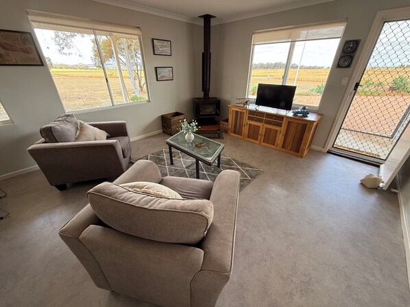 TV, lareira, DVD player, livros