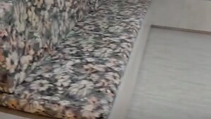 Quarto com sofá estampado com padrão floral, parede lisa, porta de madeira e janela com persianas de madeira.