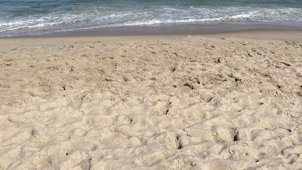 Ein Strand mit sandigem Ufer und ruhigen Wellen.