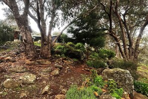 Property grounds - River Valley Retreat – Nature & Riverfront Stay (Bridgetown)