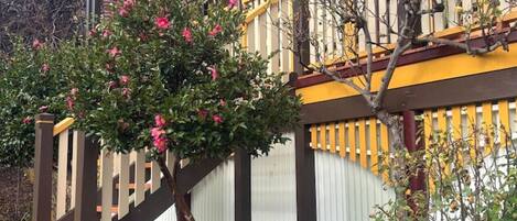 Details aan de buitenkant