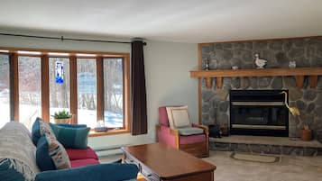 Télévision, cheminée, livres