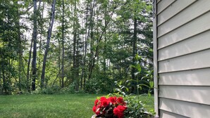 Une fleur rouge en pot est posée sur un chemin de briques menant à une maison dont le revêtement extérieur est blanc.