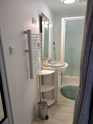 Shower, hair dryer, towels, soap - Studio RDC La Tanière de Bains (La Vôge-les-Bains)