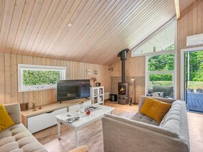 Fernseher, Kamin