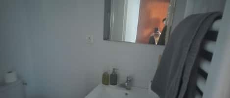 Hair dryer, towels, soap, toilet paper