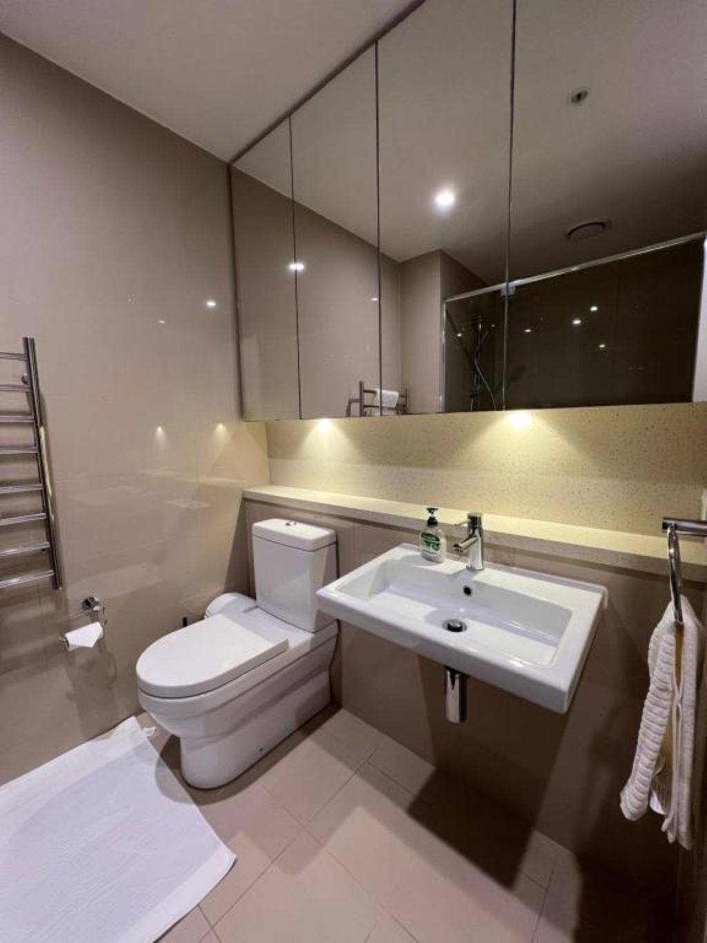 Hair dryer, towels, soap, toilet paper