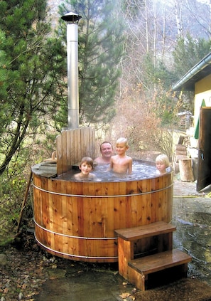 Pool - Mandl Garden Apartment near Zell am See Ground Floor Swimming Pond Garden Sauna Dogs Allowed (Mitterhofen)
