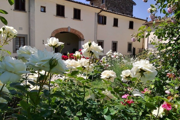 Fleur, Pétale, Arbuste, Jardin, Printemps, Plante À Fleurs, Aménagement Paysager, Famille Rose, Roses Jardin, Cour