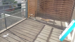 Ein Balkon mit einem Drahtgittergeländer, einer Holztür und Blick auf Gebäude im Hintergrund.