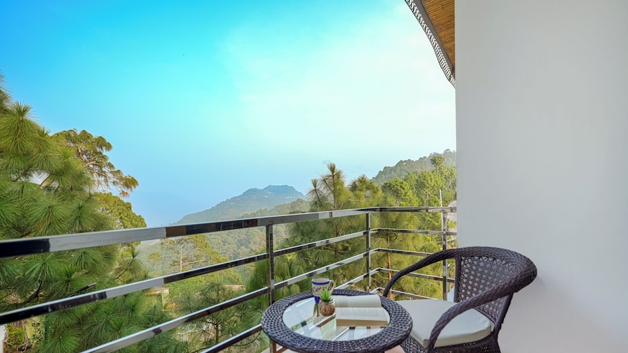 ELIVAAS Stars and WindSongs