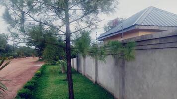 Ein Wohngebiet mit einem gepflegten Rasen, einem Baum und einem Haus mit Wellblechdach.
