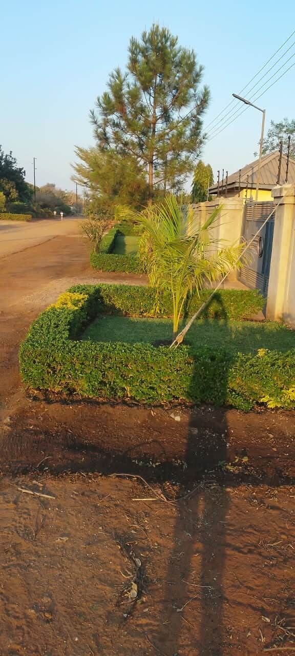 Een verzorgde tuin met verschillende planten en een palmboom, naast een gebouw met een zichtbare ingang.