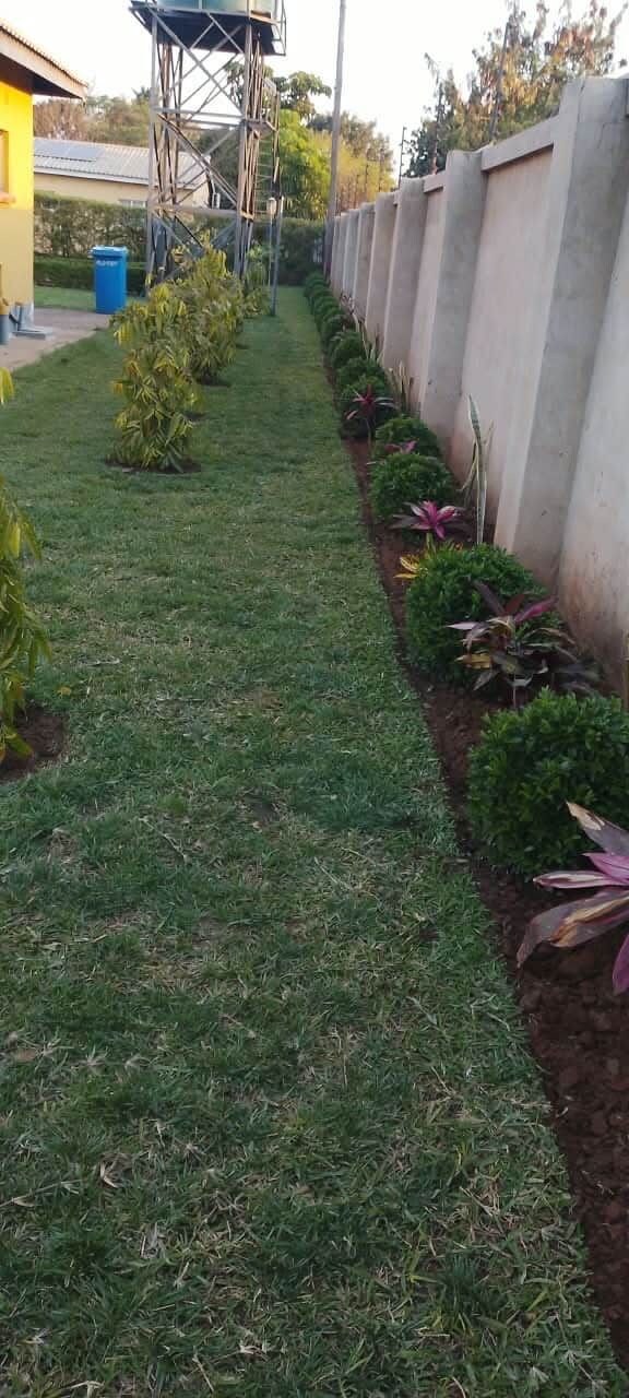 Un jardín bien cuidado con diversas plantas y un muro de hormigón.