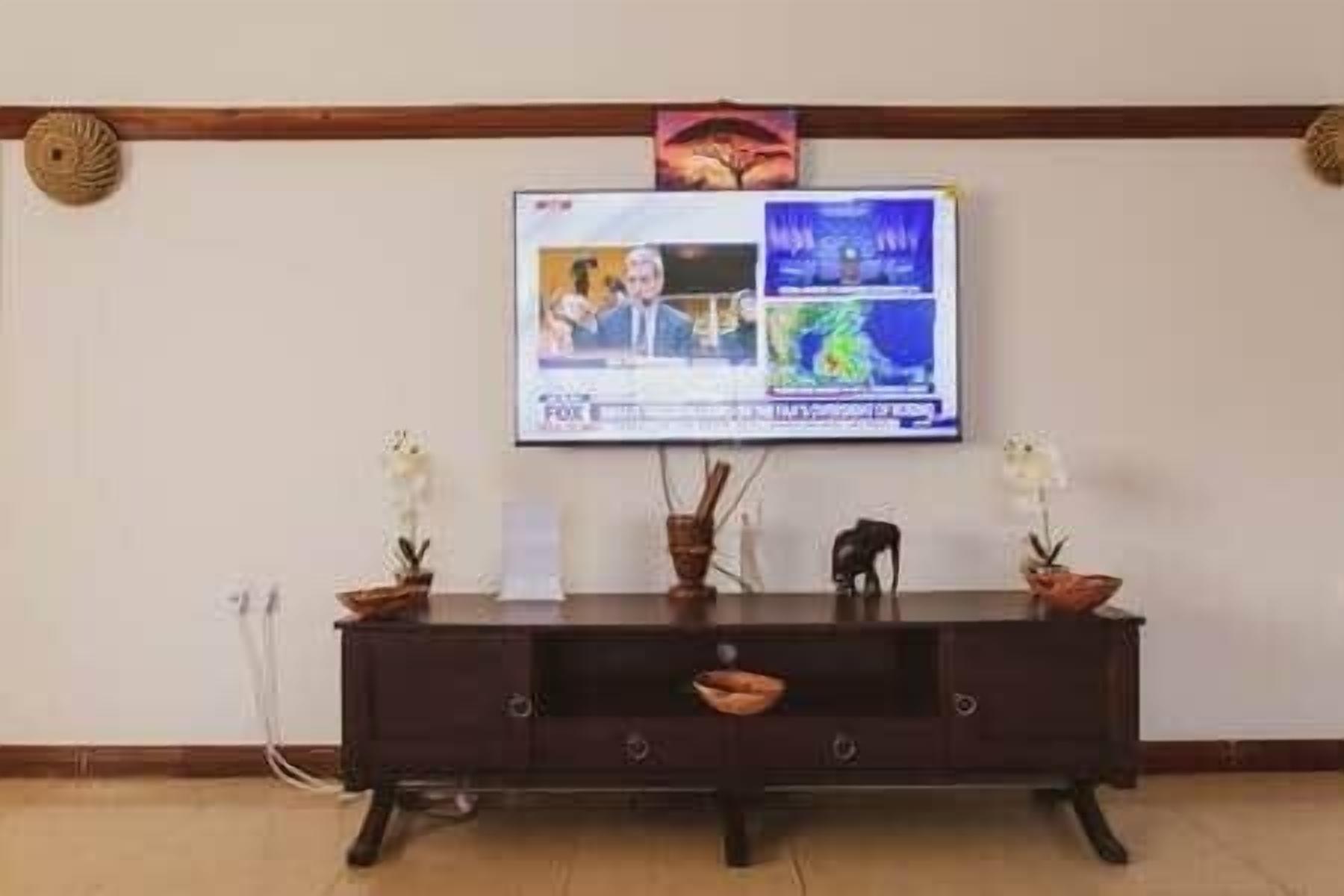 Un téléviseur à écran plat fixé au mur, au-dessus d’une console en bois foncé, et deux plantes en pot.