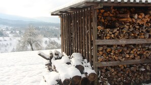 A wooden structure with a roof, surrounded by a snowy landscape and a pile of firewood. - Brack vacation apartments in Gaggenau (Gaggenau)