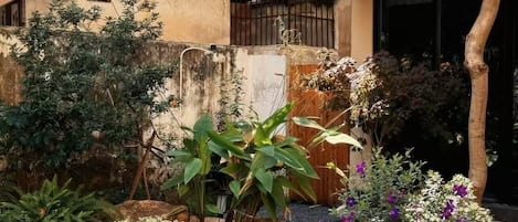 Un jardin avec un fauteuil en osier, différentes plantes et un bâtiment en arrière-plan.