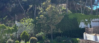 Large house with swimming pool in the center of Tudela