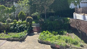 Un jardín con diversas plantas y árboles, un camino de hormigón y un pequeño puente.