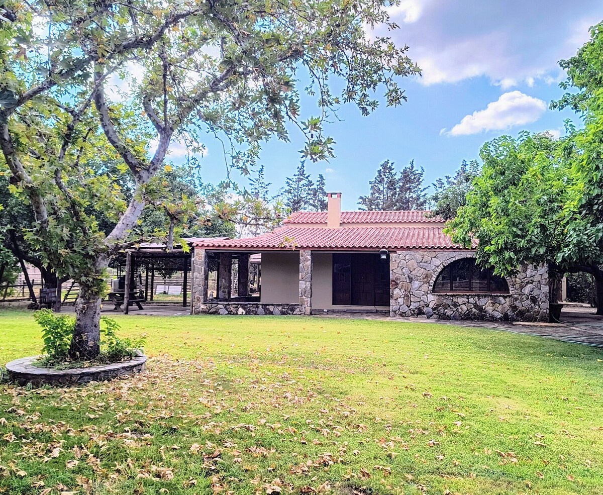 Image de profil de l’hôte