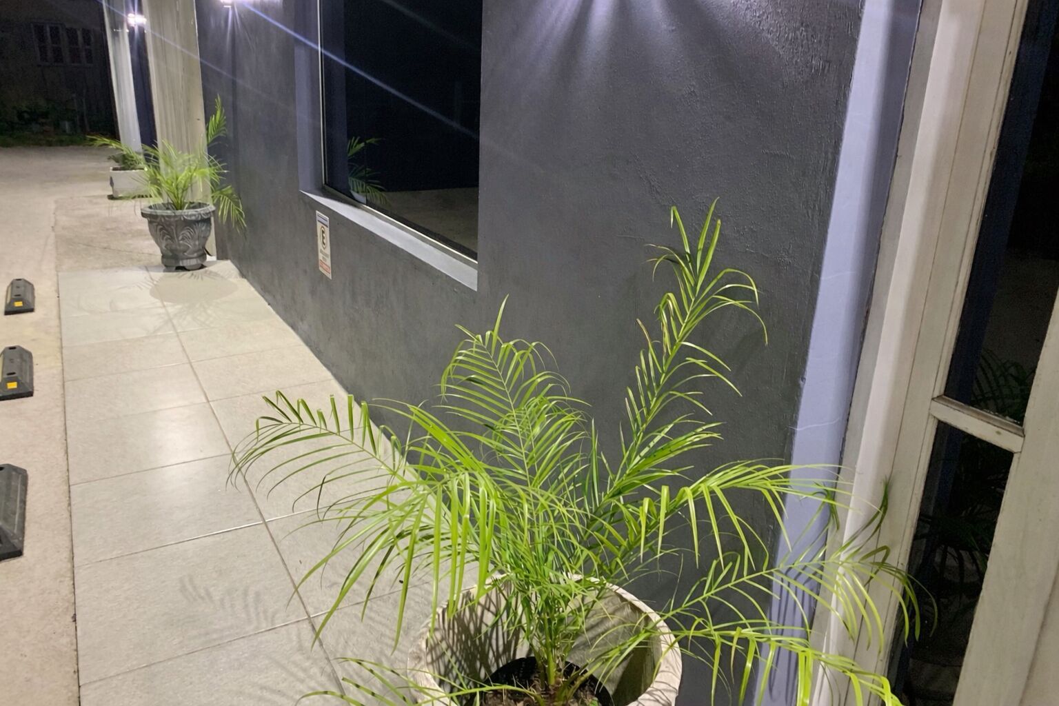A corridor with potted plants, a tiled floor, and a dark wall with windows.