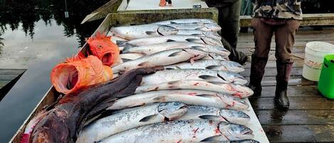 A dock with a wooden platform displaying various fish.