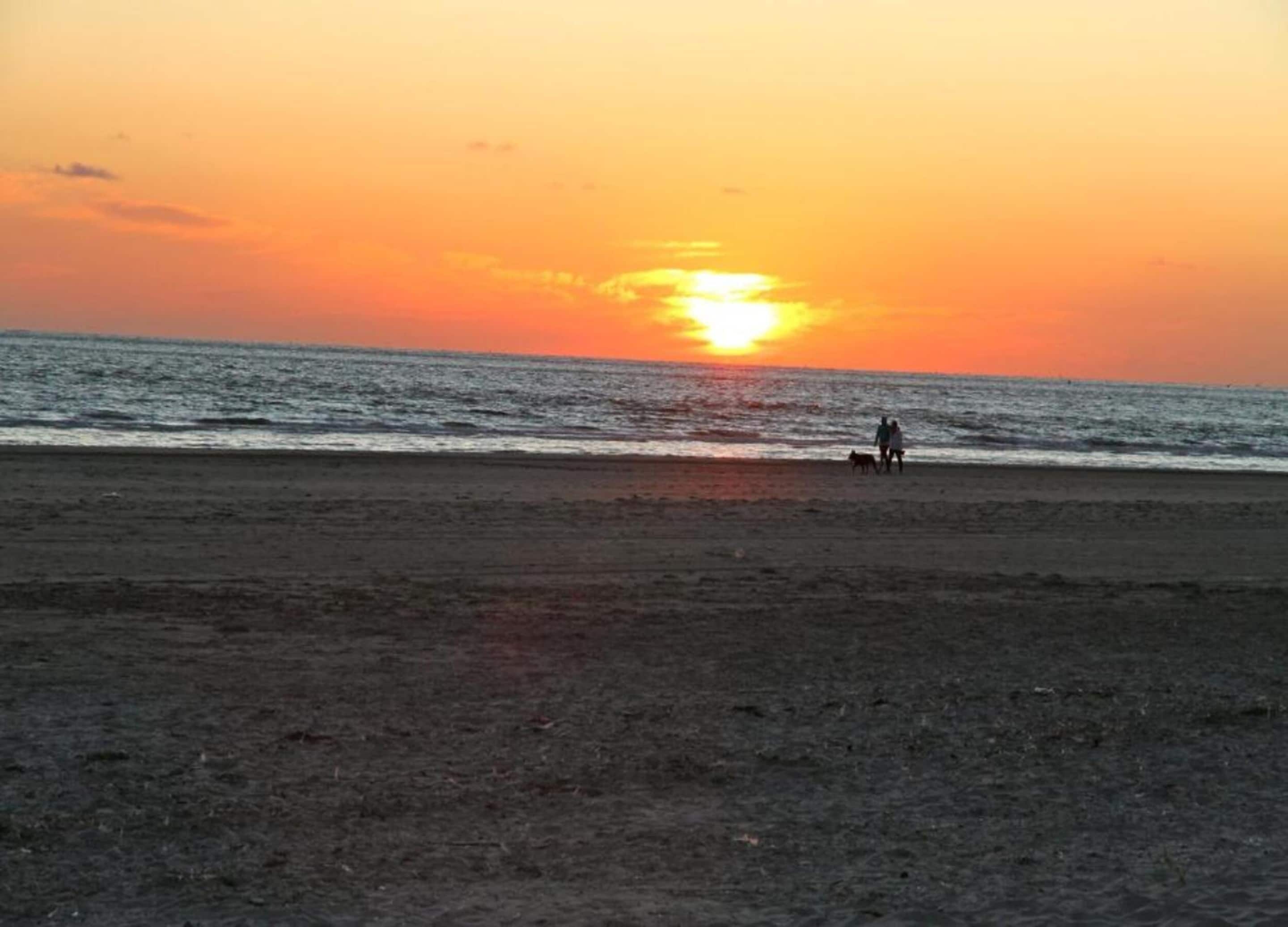 Chalet | Uitzicht vanuit accommodatie