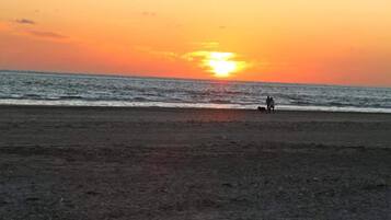 Chalet | Uitzicht vanuit accommodatie