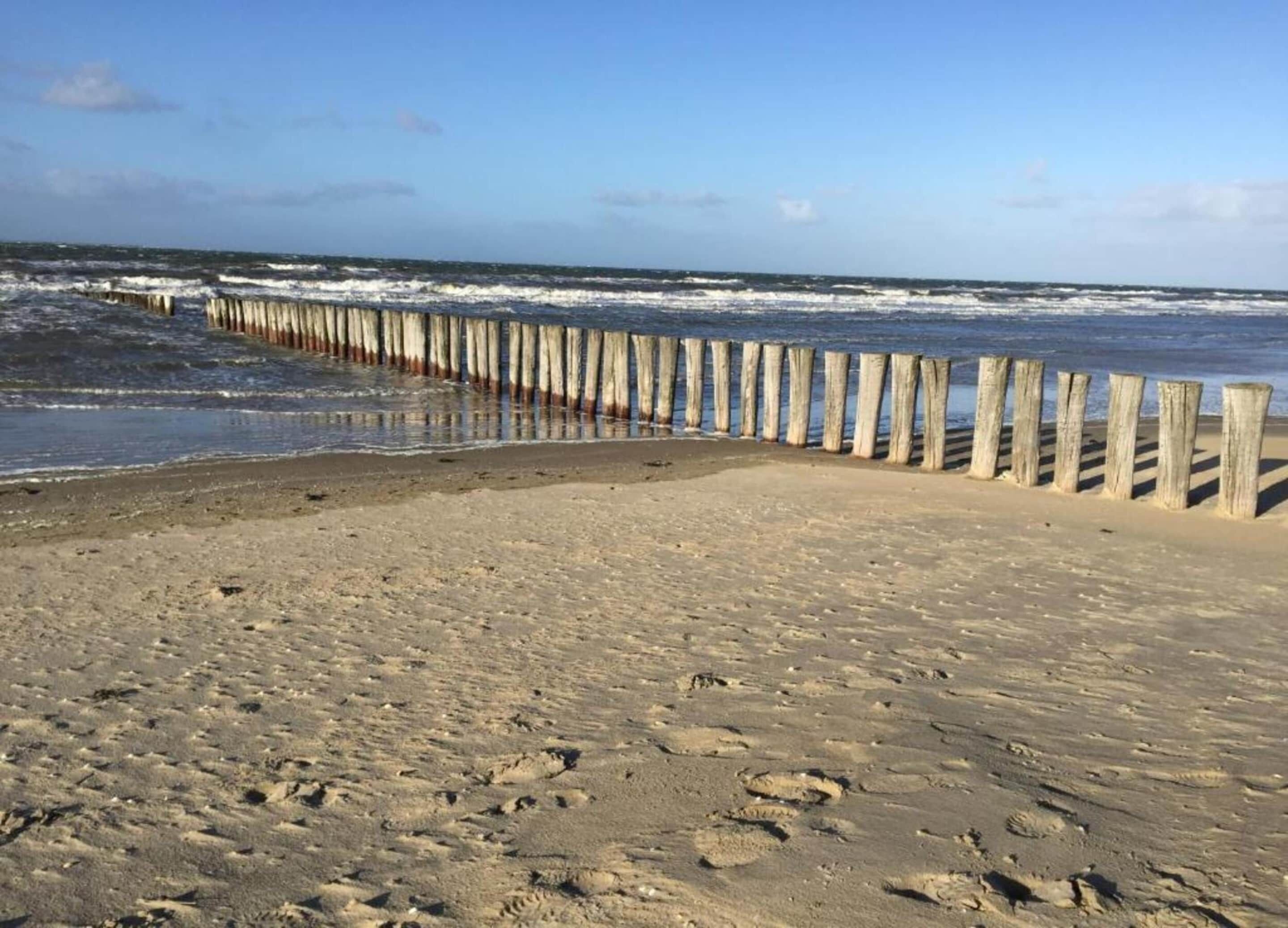 Chalet | View from property